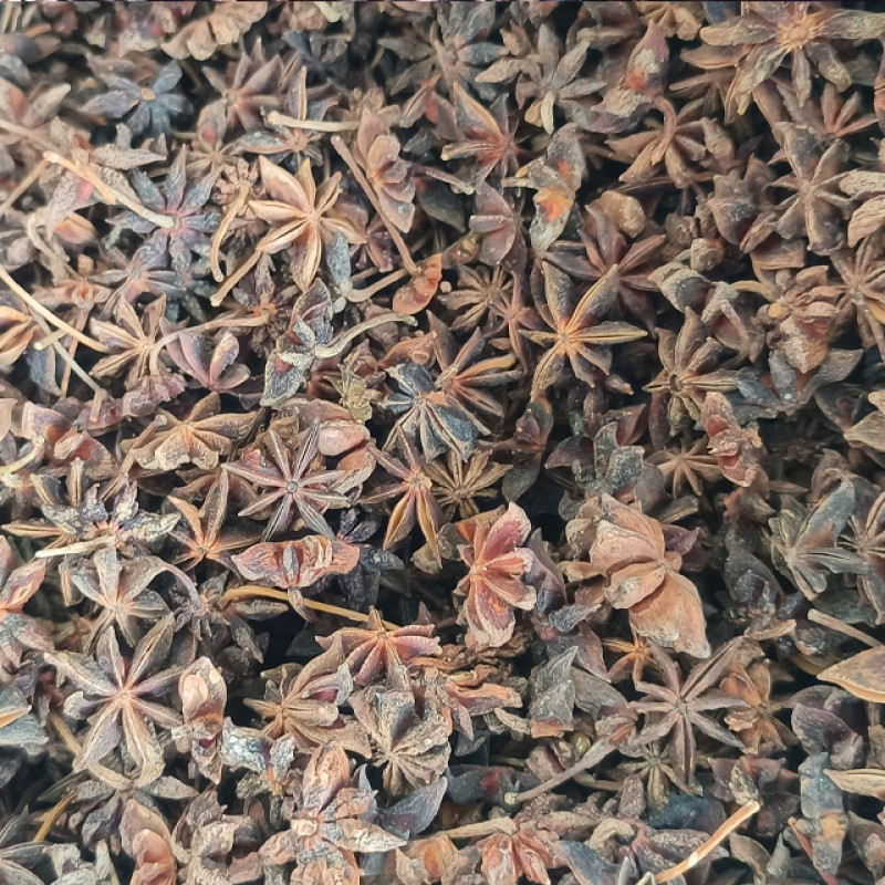 Star Anise Herb Manufacturer - Wholesale Supply Natural Fresh Style Whole Piece Raw Processing