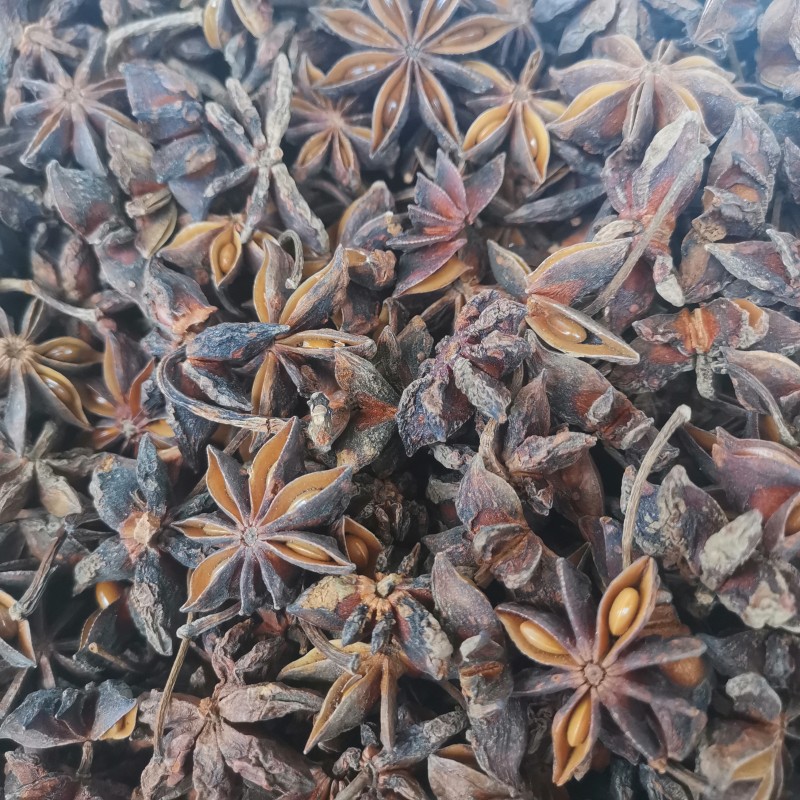 Star Anise Spices Manufacturer - High Quality Cheap Price Good Grade Product Chinese Origin