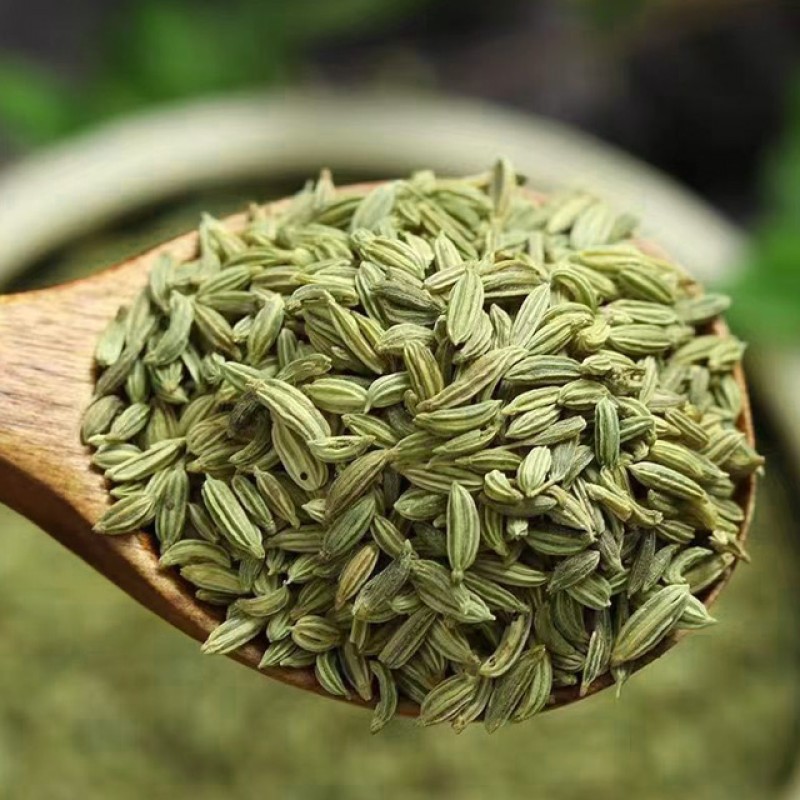 Fennel Seeds Manufacturer - Widely Used High Quality Organic Fresh Single Spice Wholesale