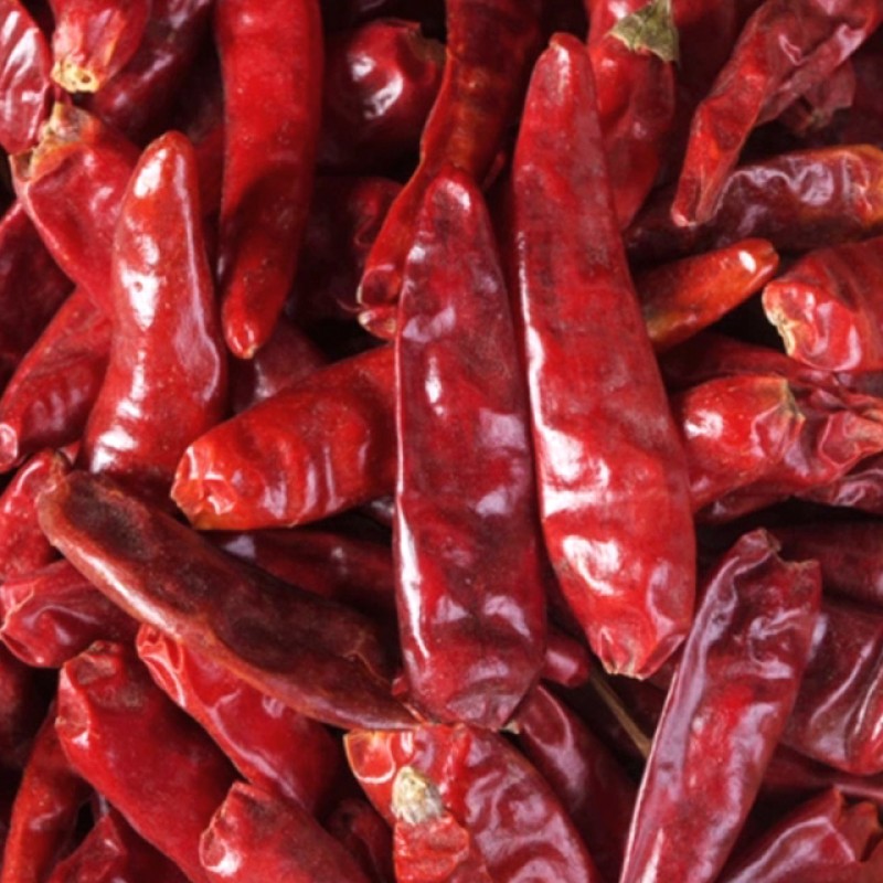 Dried Red Chili Peppers Manufacturer - Flavour Enhancing Natural Fresh Spice Seasoning Bulk Supply