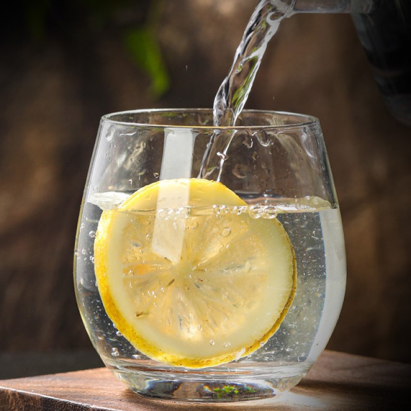 Dried Lemon Slices Manufacturer - Reliable Quality No Addition Delicious Sulfur Free