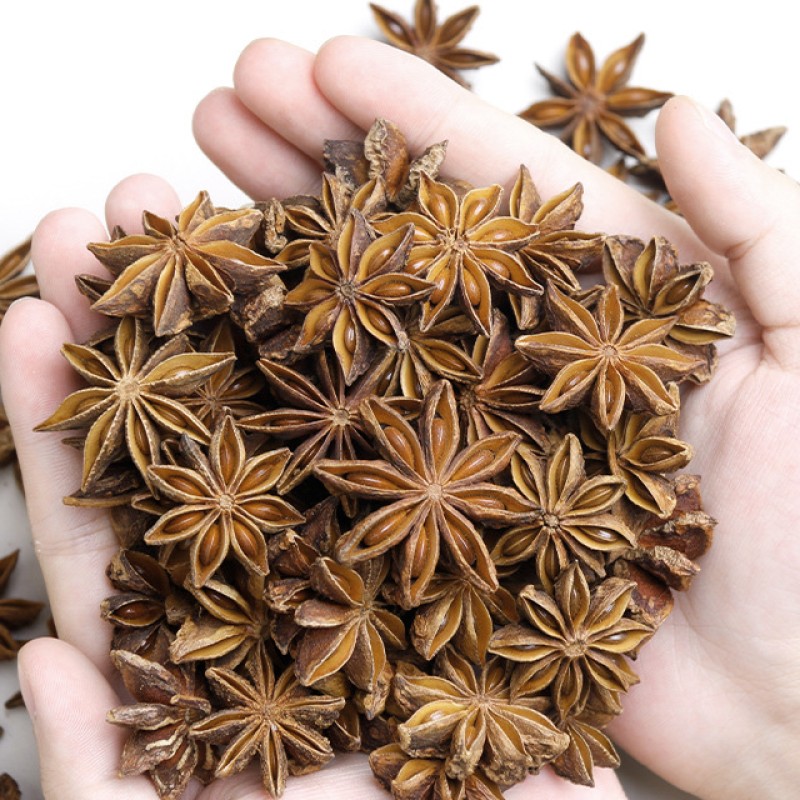 Autumn Star Anise Manufacturer - Wholesale High Quality Natural Dried Whole China Manufacturers