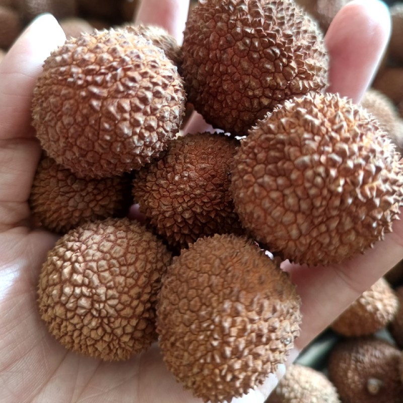 Dried Lychees Manufacturer - Naturally Dried No Additives Sweet Taste Whole Litchi Health Food Bulk AD Drying