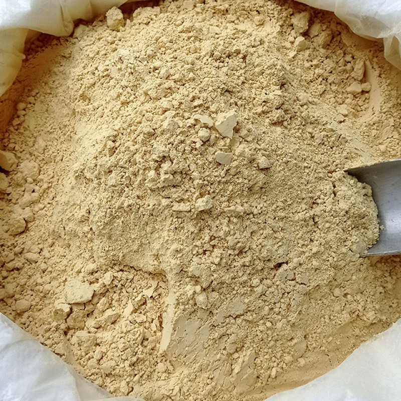 Ginger Root Extract Powder Manufacturer - Supply Pure Natural Organic Single Spices & Herbs