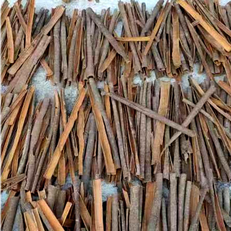 Split Cinnamon Manufacturer - Various Good Quality Pure Organic Sun Dried Natural for Cooking