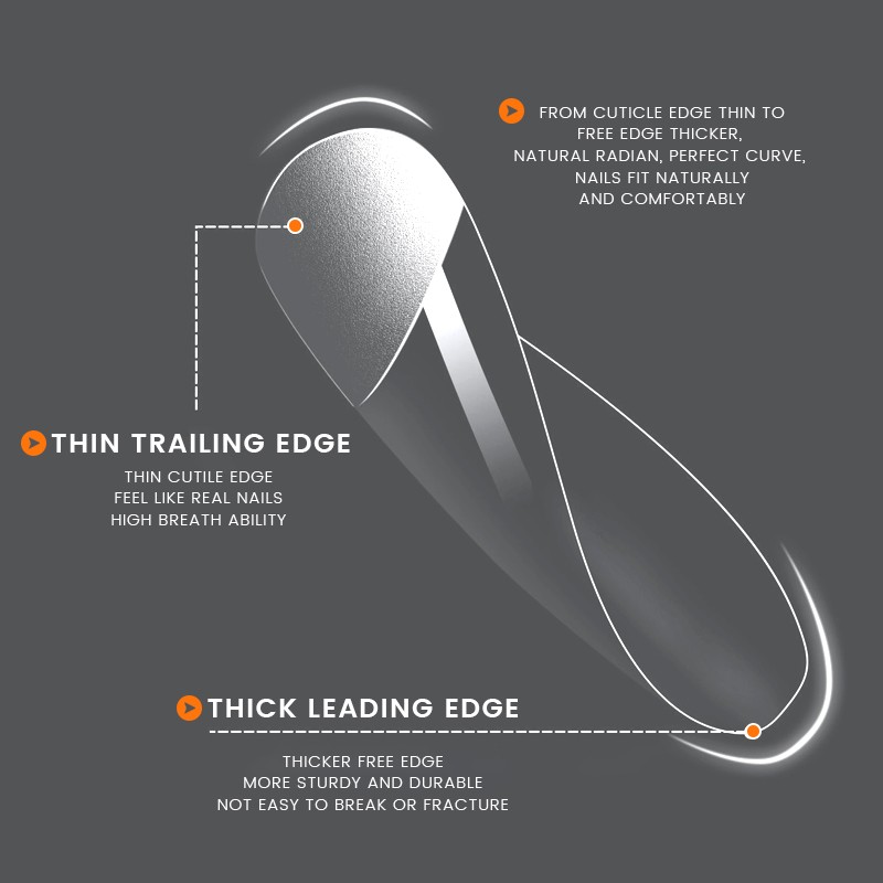 False Nail Tips Manufacturer - Professional Salon 12 Sizes Short Almond