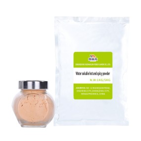 Spicy Powder Supplier - High Quality Capsicum Extract Instant Hot Powder