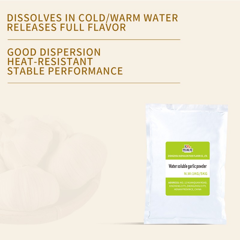 Garlic Powder Extract Supplier - High Quality Instant Garlic Powder Processing
