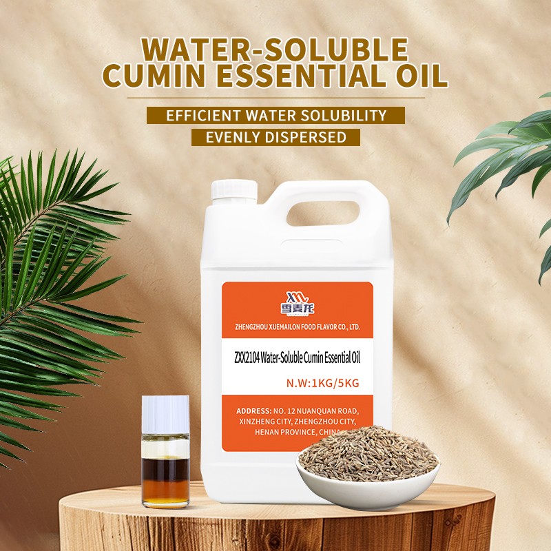 Cumin Extract Supplier - Pure Natural CO2 Extract Water Soluble Food Grade