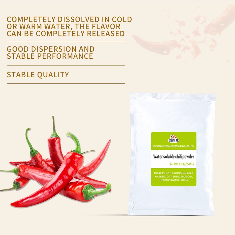 Chili Powder Extract Supplier - High Quality Instant Red Pepper Powder Processing