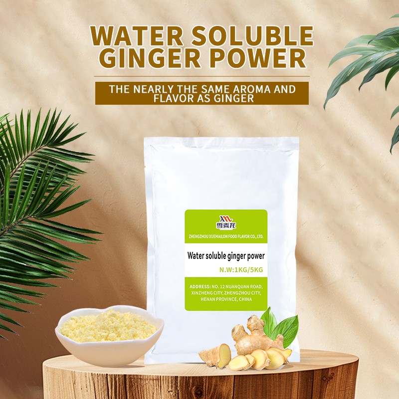 Ginger Powder Extract Manufacturer - High Quality Ginger Essential Oil Based
