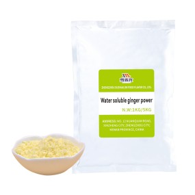 Ginger Powder Extract Manufacturer - High Quality Ginger Essential Oil Based