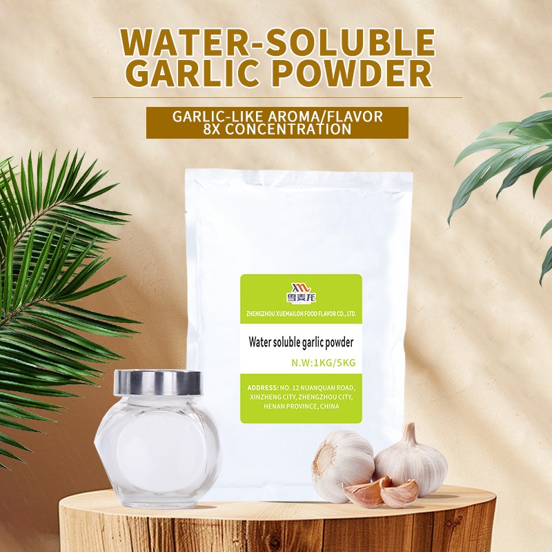 Garlic Powder Extract Supplier - High Quality Instant Garlic Powder Processing