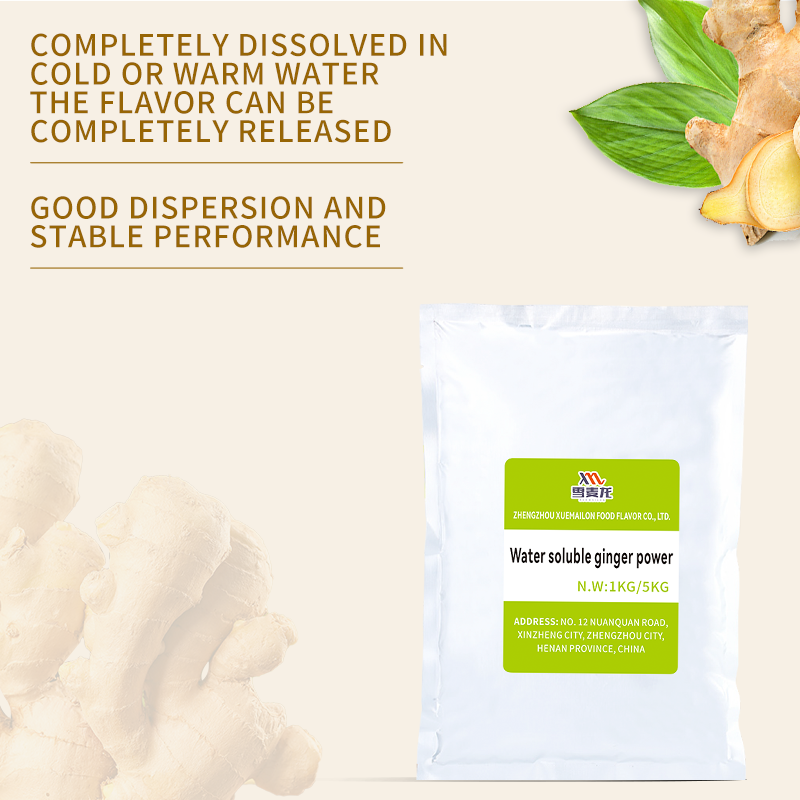 Ginger Powder Extract Manufacturer - High Quality Ginger Essential Oil Based