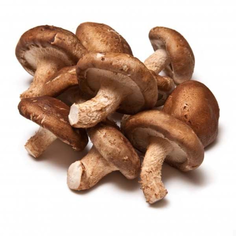 Mushroom Extract Supplier - Bulk Supply Good Sale Mushroom Oil Food Grade