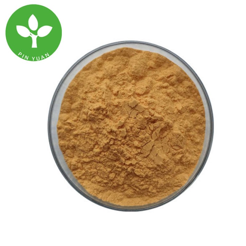 Sea Buckthorn Powder Supplier - Food Grade Organic Fruit Powder