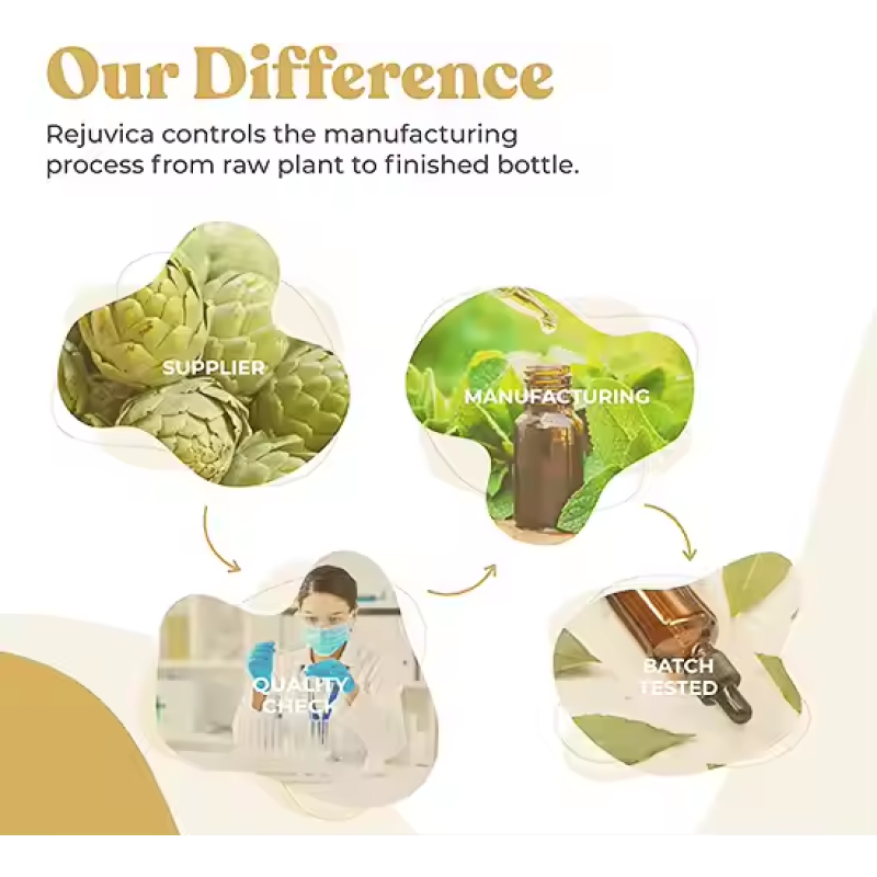 Maca Root Drops Supplier - Organic Energy Boost Healthcare Supplement