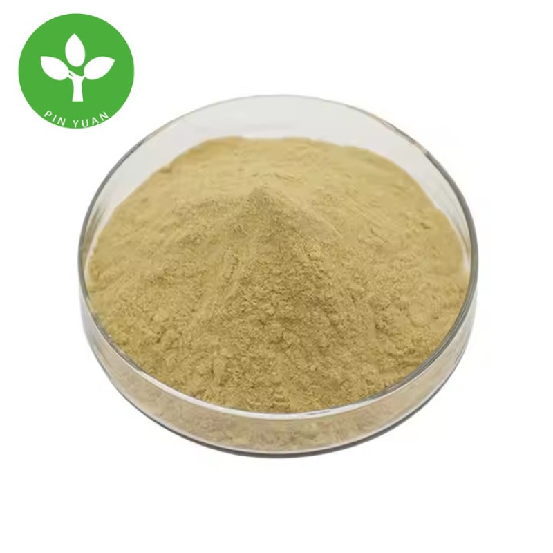 Oleuropein Powder Supplier - Natural Organic Olive Leaf Extract Powder