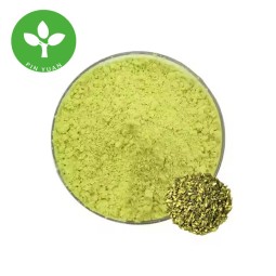 Quercetin Powder Factory - 98% Sophora Japonica Extract Natural Powder