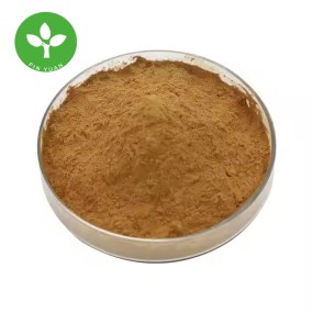 Withanolides Powder Factory - Natural Ashwagandha Root Extract 2.5-5%