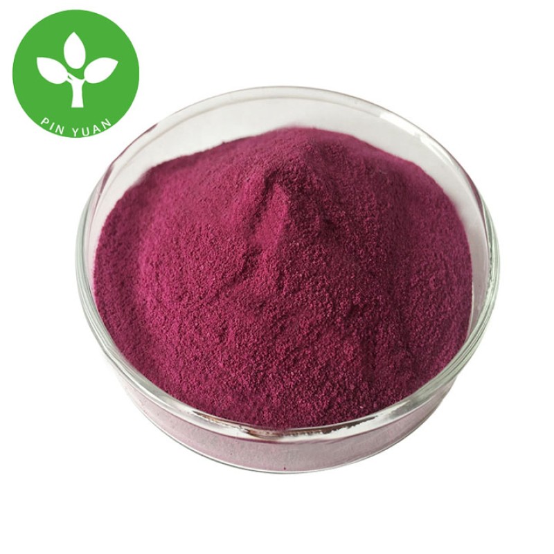 Acai Berry Powder Factory - Food Grade Organic Acai Berry Juice Powder