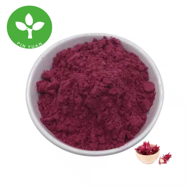Roselle Hibiscus Powder Supplier - Bulk Organic Food Grade Powder
