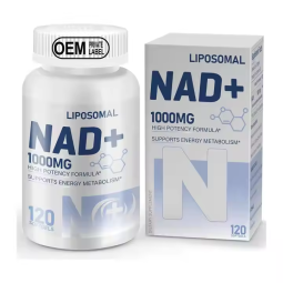 NAD+ Capsules Factory - Factory OEM Liposomal NAD Booster 1000mg