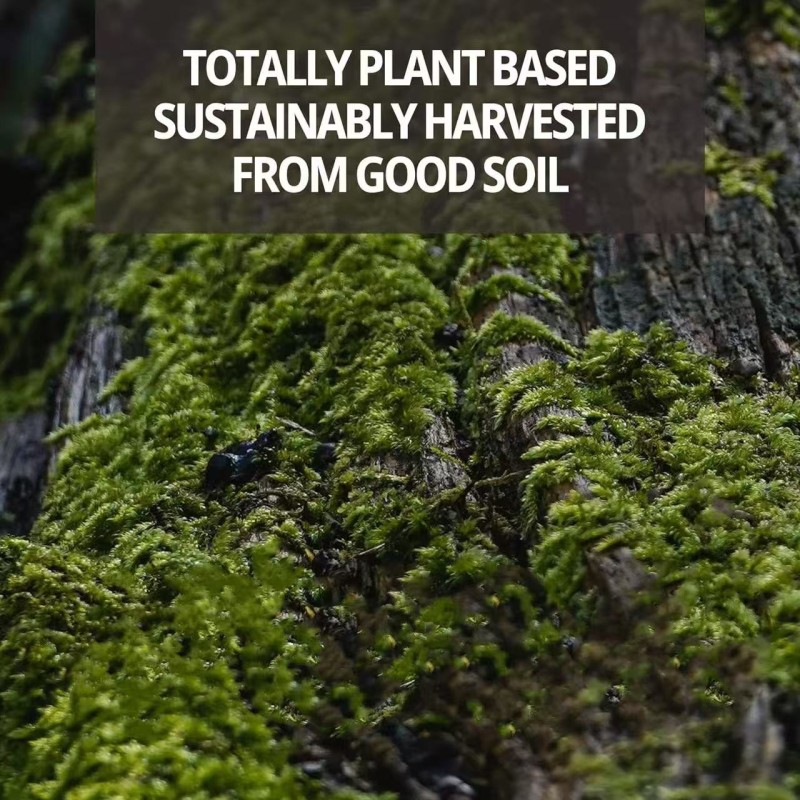 Vitamin D3 K2 Gummies Manufacturer - Private Label Low Sugar Bone Support