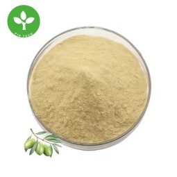 Oleuropein Powder Supplier - Natural Organic Olive Leaf Extract Powder