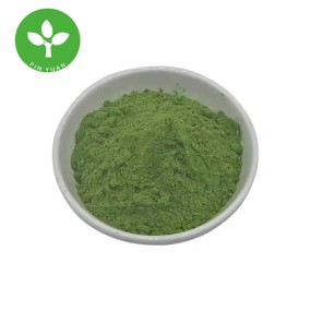 Okra Powder Manufacturer - Bulk Organic Food Grade Pure Okra Powder