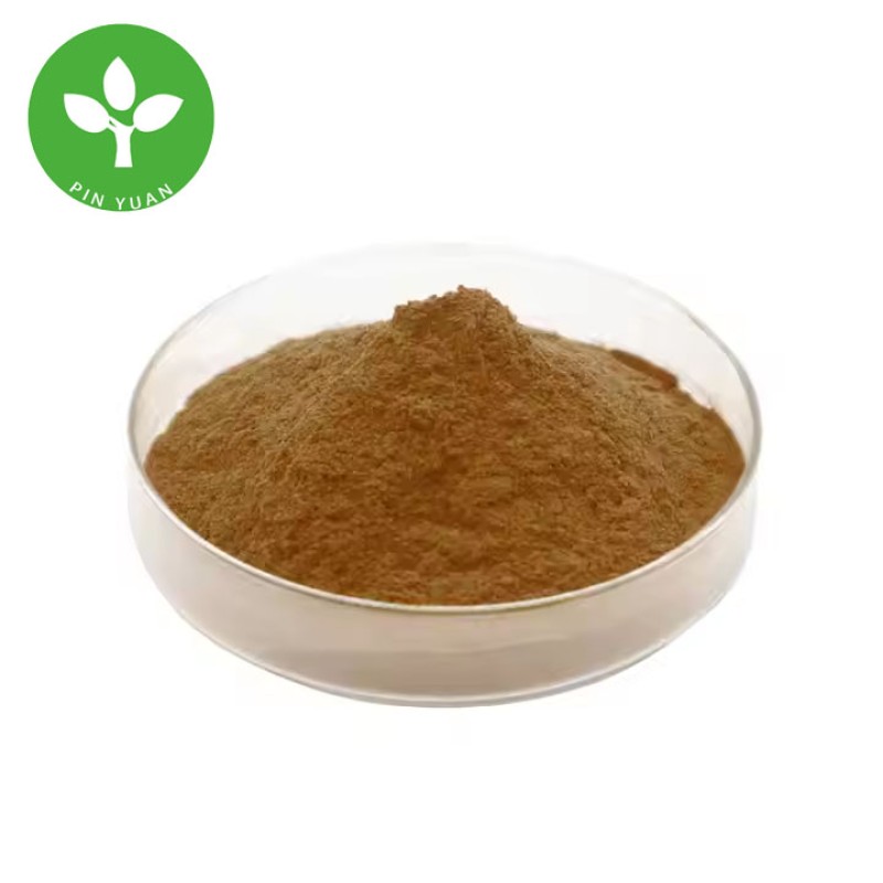 Salidroside Powder Manufacturer - 3% Rosavin Rhodiola Root Extract