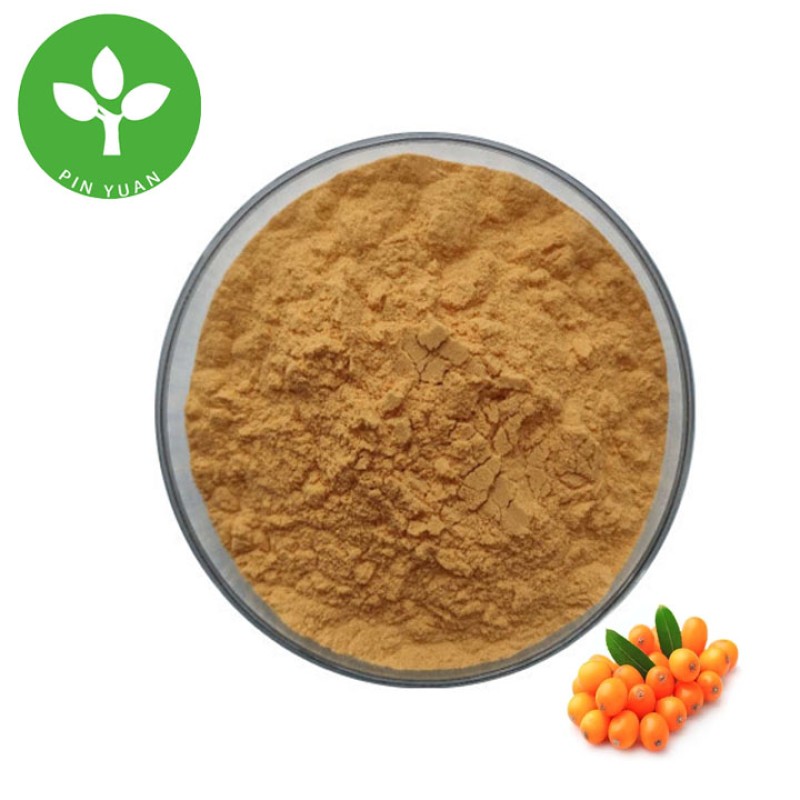 Sea Buckthorn Powder Supplier - Food Grade Organic Fruit Powder