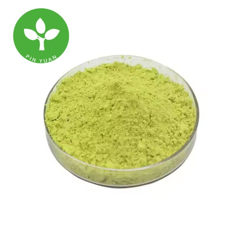 Quercetin Powder Factory - 98% Sophora Japonica Extract Natural Powder