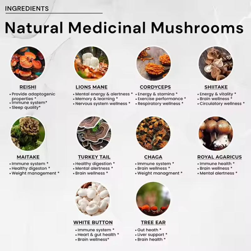 Mushroom Capsules Supplier - OEM ODM 10 in 1 High Strength Complex