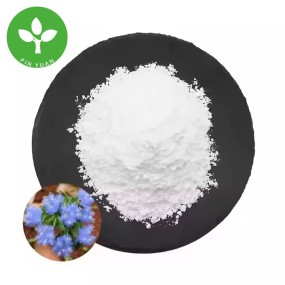 Beta Ecdysterone Powder Manufacturer - Natural Healthcare Supplement 98%