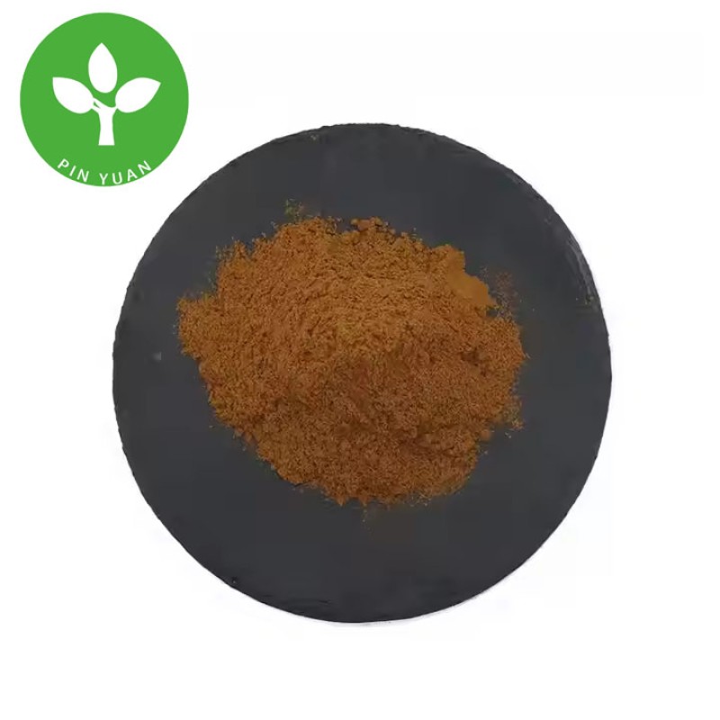 Maitake Polysaccharide Powder Factory - 30% Maitake Mushroom Extract