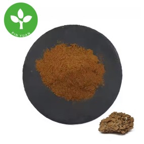 Maitake Polysaccharide Powder Factory - 30% Maitake Mushroom Extract