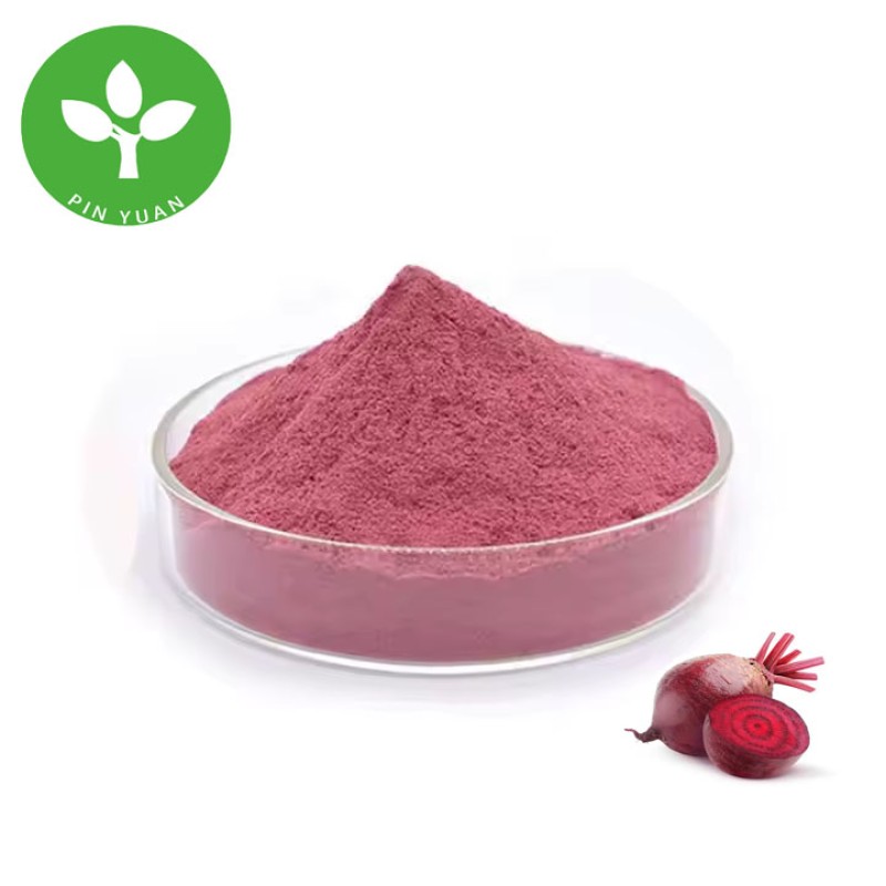 Beetroot Powder Supplier - Natural Pigment Food Grade Organic Powder