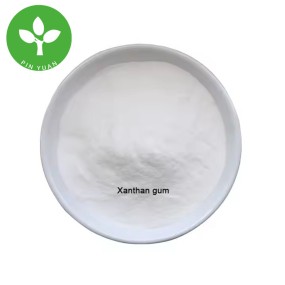 Xanthan Gum Powder Factory - 80-200 Mesh Thickener Food Grade