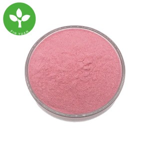 Sakura Powder Manufacturer - Food Grade Organic Sakura Powder