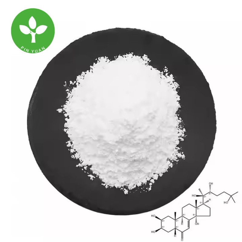 Beta Ecdysterone Powder Manufacturer - Natural Healthcare Supplement 98%