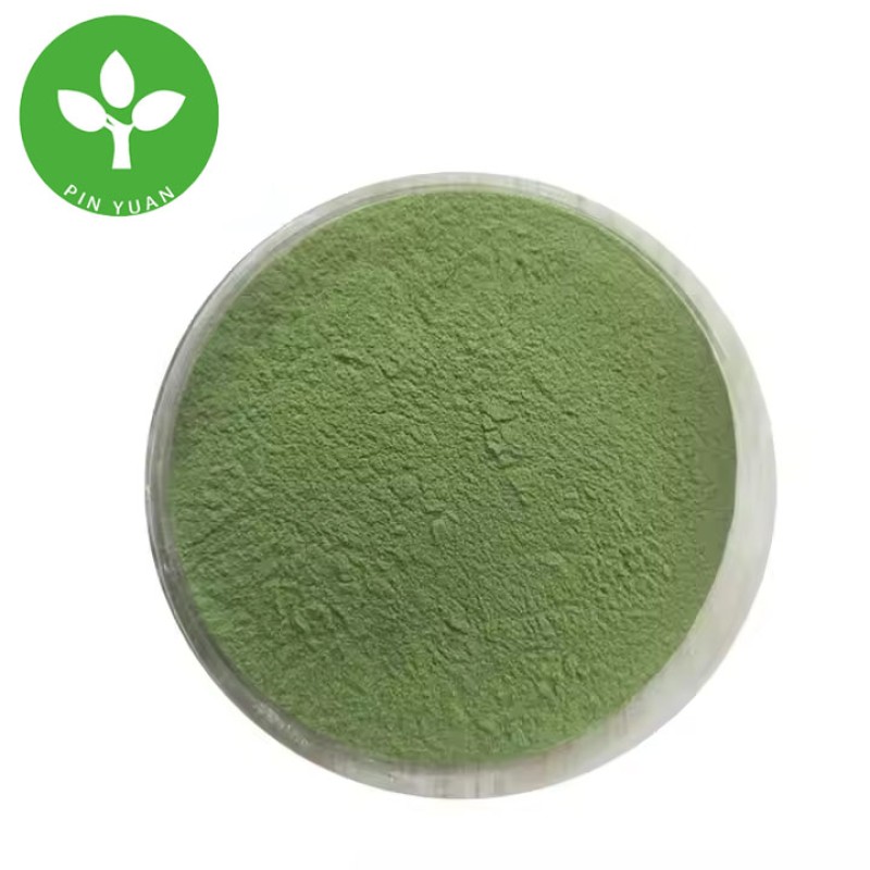Moringa Leaf Powder Manufacturer - Bulk Food Grade Moringa Powder