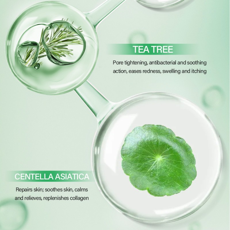 Foot Repair Cream Supplier - Private Label Herbal Tea Tree Oil Softens Dry Cracked