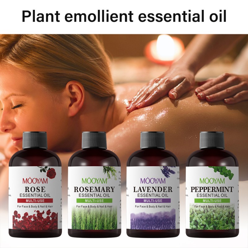 Essential Oils Supplier - Organic Bulk Lavender Peppermint Rosemary Rose Nourishing
