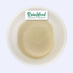 Pineapple Powder Factory - Bulk Fruit Powder Price Juice Powder