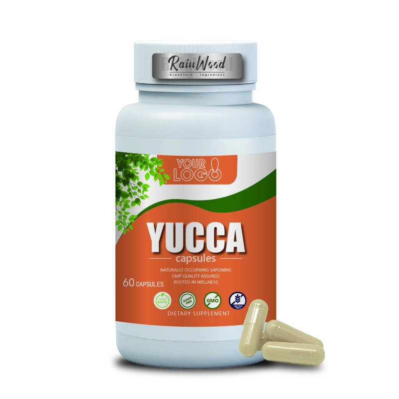 Yucca Capsules Supplier - Yucca Root Powder 60% Sarsaponin Extract