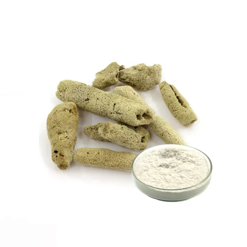 Spongilla Lacustris Powder Factory - Cosmetic Ingredient Sponge Extract
