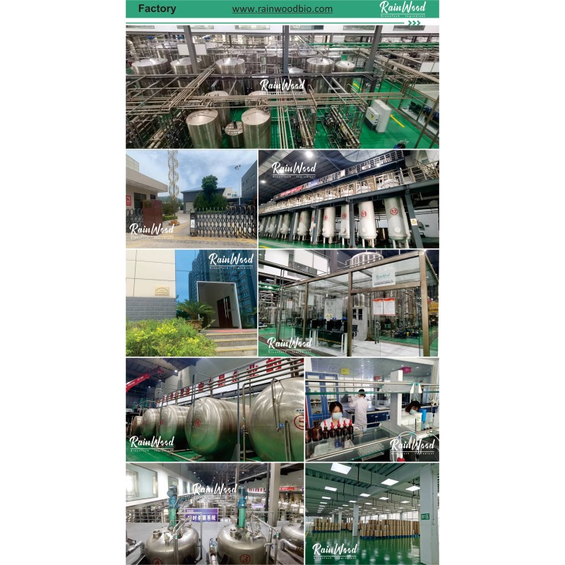 Tea Saponin Powder Manufacturer - Natural Pure Wholesale 90% Saponin