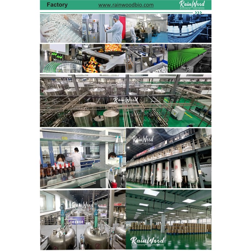 Pineapple Powder Supplier - High Quality Artificial Planting Extract