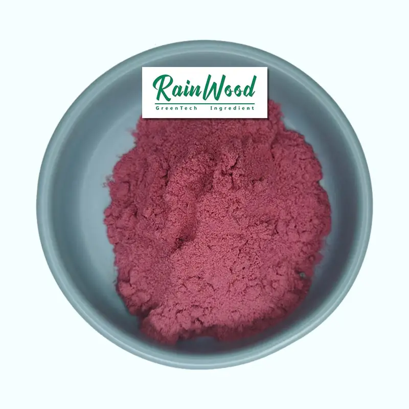 Acai Berry Powder Manufacturer - 100% Pure Freeze Dried Extract Powder